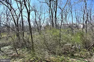 304 Pimlico Way, North Wales, PA 19454 - Photo 45