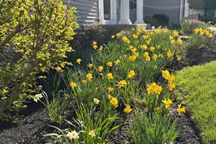 1026 Glendevon Dr, Ambler, PA 19002 - Photo 3