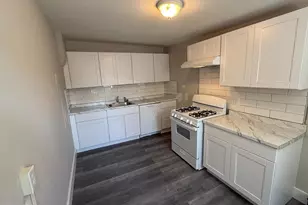 217 E Marshall St, Norristown, PA 19401 - Photo 3
