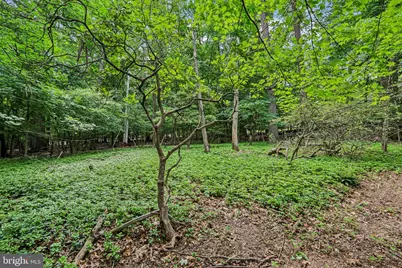 919 Croton Road, Wayne, PA 19087 - Photo 39