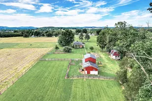 141 Green Hill Rd, Barto, PA 19504 - Photo 41