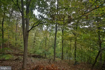 127 Bavington Road, Perkiomenville, PA 18074 - Photo 3