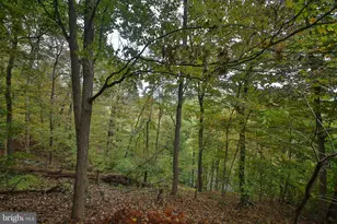 127 Bavington Rd, Perkiomenville, PA 18074 - Photo 3