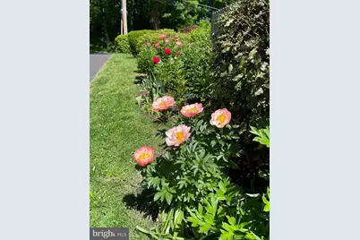 229 Lismore Avenue, Glenside, PA 19038 - Photo 29