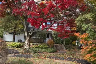 8210 Fairview Rd, Elkins Park, PA 19027 - Photo 51