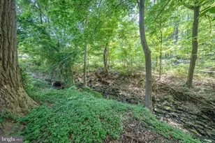 1551 Washington Ln, Jenkintown, PA 19046 - Photo 61