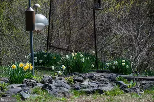 268 Steinmetz Rd, Schwenksville, PA 19473 - Photo 65