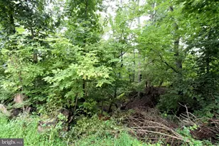 125 Goshen Rd, Schwenksville, PA 19473 - Photo 59