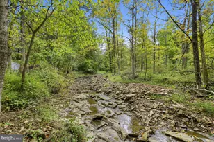 3213 Miller Rd, Pennsburg, PA 18073 - Photo 49