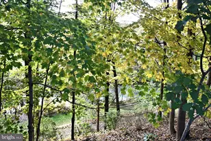 1026 Hosensack Rd, Palm, PA 18070 - Photo 45