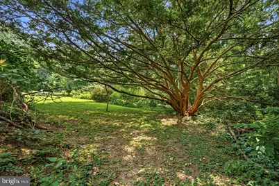 435 North Ithan Ave, Lower Merion Township, PA 19010 - Photo 15