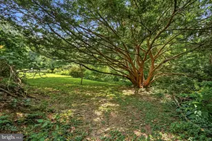 435 N Ithan Ave, Lower Merion Township, PA 19010 - Photo 15