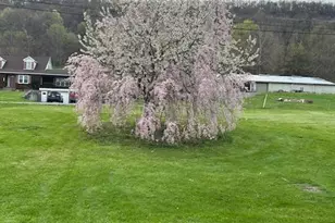 5990 US Hwy 522 S, McVeytown, PA 17051 - Photo 81