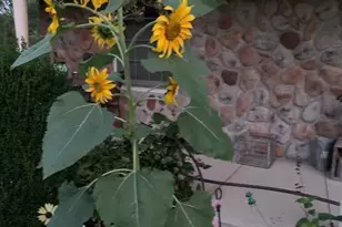 5990 US Hwy 522 S, McVeytown, PA 17051 - Photo 75