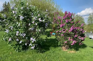 5990 US Hwy 522 S, McVeytown, PA 17051 - Photo 79