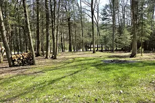 10 Rocky Top Ln, Milroy, PA 17063 - Photo 49