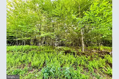 396 Whiskey Road, McClure, PA 17841 - Photo 3