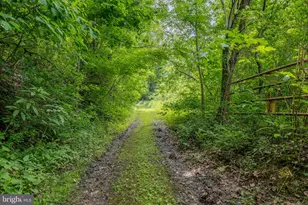 4668 Route 103 N, Lewistown, PA 17044 - Photo 45