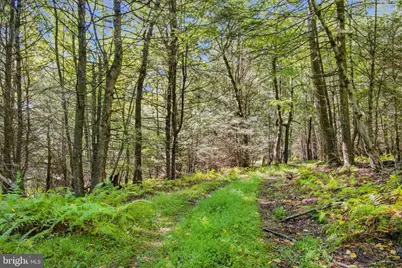 371 Copeland Spring Trl #PARCEL 1, Allensville, PA 17002 - Photo 47
