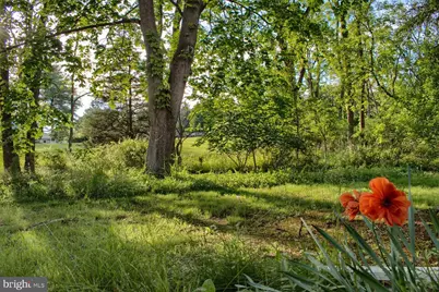 1025 Bloom Road, Danville, PA 17821 - Photo 47