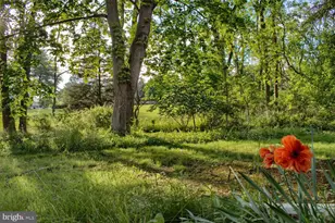 1025 Bloom Rd, Danville, PA 17821 - Photo 47