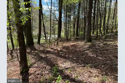 0 Lot # 2 Haney Road, Kunkletown, PA 18058 - Photo 9