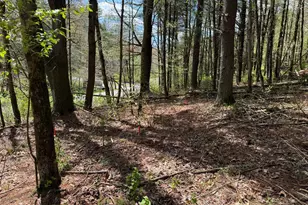 0 Haney Rd Lot 2, Kunkletown, PA 18058 - Photo 9