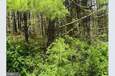 0 Lot # 2 Haney Road, Kunkletown, PA 18058 - Photo 13