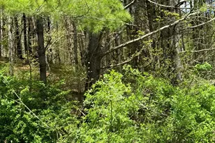 0 Haney Rd Lot 2, Kunkletown, PA 18058 - Photo 13