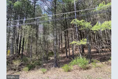 0 Lot # 2 Haney Road, Kunkletown, PA 18058 - Photo 3