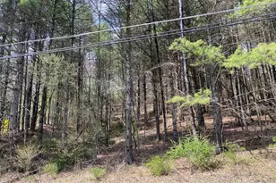 0 Haney Rd Lot 2, Kunkletown, PA 18058 - Photo 3