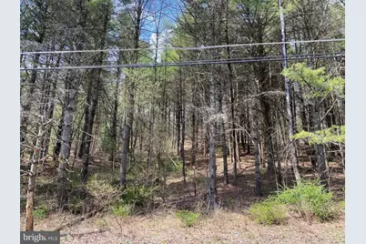 0 Lot # 2 Haney Road, Kunkletown, PA 18058 - Photo 7