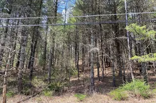 0 Haney Rd Lot 2, Kunkletown, PA 18058 - Photo 7