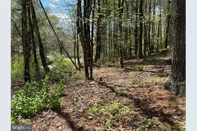 0 Lot # 2 Haney Road, Kunkletown, PA 18058 - Photo 11