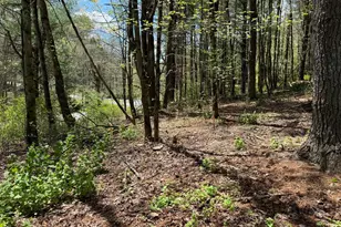 0 Haney Rd Lot 2, Kunkletown, PA 18058 - Photo 11