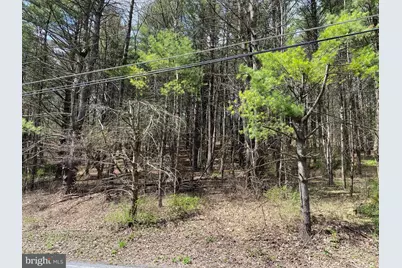 0 Lot # 2 Haney Road, Kunkletown, PA 18058 - Photo 5