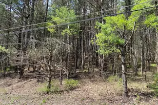 0 Haney Rd Lot 2, Kunkletown, PA 18058 - Photo 5