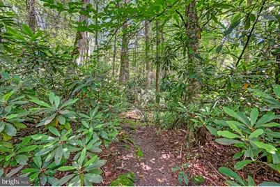 217 Lower Valley Drive, Kunkletown, PA 18058 - Photo 87