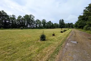 223 Brink Rd, Saylorsburg, PA 18353 - Photo 11