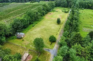 223 Brink Rd, Saylorsburg, PA 18353 - Photo 5