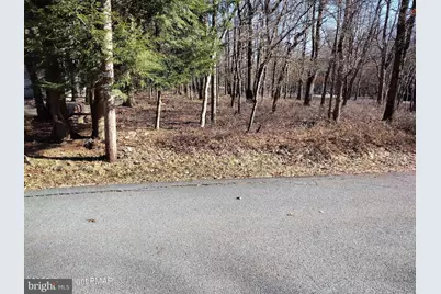 11 Cheilo Path, Pocono Lake, PA 18347 - Photo 9