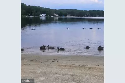 11 Cheilo Path, Pocono Lake, PA 18347 - Photo 7