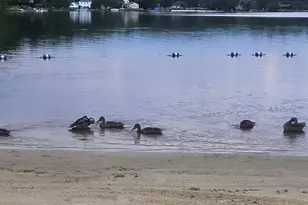 14-21-6 Omaha Trail, Pocono Lake, PA 18347 - Photo 1