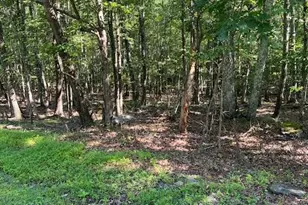 Pocono Forested Dr, East Stroudsburg, PA 18302 - Photo 1