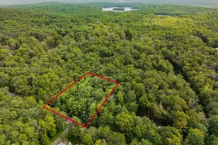 812 Beaver Run, Pocono Lake, PA 18347 - Photo 1
