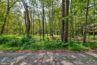 804 Evergreen Drive, Pocono Lake, PA 18347 - Photo 3