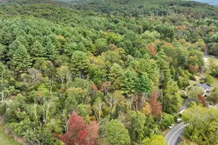 423 Cottontail Ln, Saylorsburg, PA 18353 - Photo 15