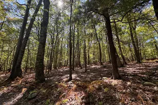 196 Robin Ln, East Stroudsburg, PA 18302 - Photo 19