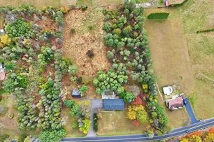 1040 State Rd, Effort, PA 18330 - Photo 43