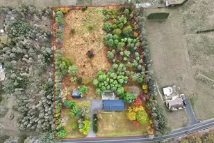 1040 State Rd, Effort, PA 18330 - Photo 41